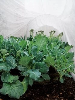 Summerweight Garden Fabric -Garden Decor Store 32644 7936 tif