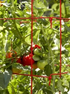 Tomato Cages, Set Of 4 -Garden Decor Store 34182 592