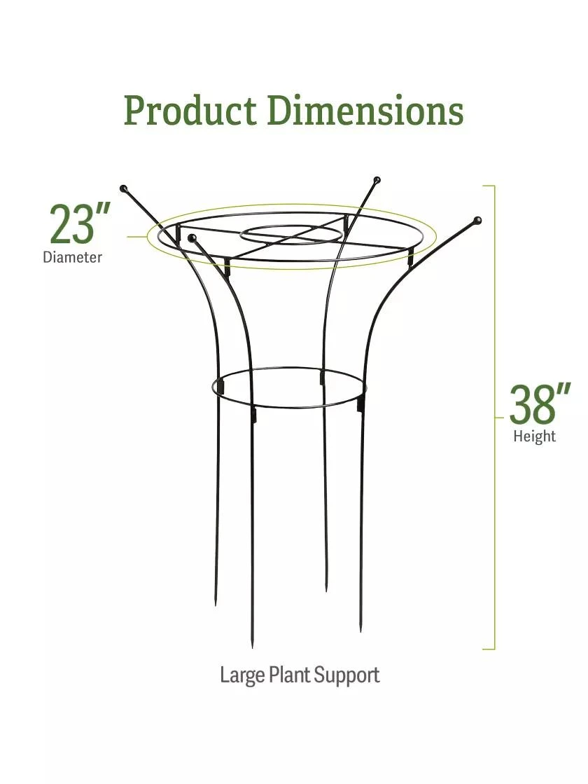Essex Plant Supports 8 Essex Plant Supports - Image 6
