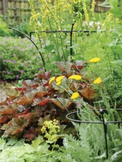 Essex Plant Supports 11 Essex Plant Supports -Garden Decor Store 37423 280 tif