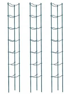 Tomato Ladders, Set Of 3 -Garden Decor Store 38184 002E psd