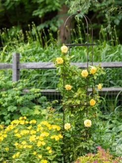 Jardin Round Obelisk, 7' 9 Jardin Round Obelisk, 7' -Garden Decor Store 39 530 1668 tif