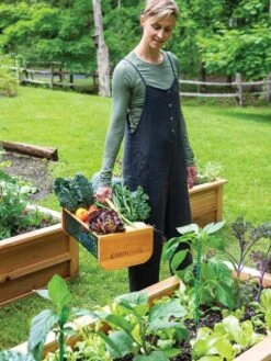 Garden Hods 11 Garden Hods -Garden Decor Store 39 761 0146 tif