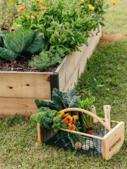 Garden Hods 10 Garden Hods -Garden Decor Store 39 761 572 tif