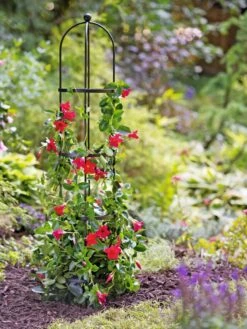 Essex Round Trellises -Garden Decor Store 39544 2267 tif