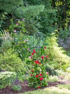 Essex Round Trellises -Garden Decor Store 39545 2286 tif