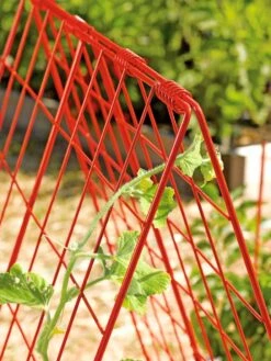 Deluxe Cucumber Trellis -Garden Decor Store 39806 542 tif