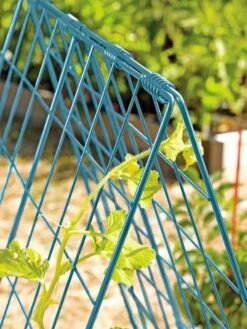 Deluxe Cucumber Trellis -Garden Decor Store 39806 BLUE 100 tif