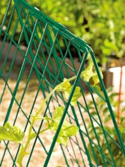 Deluxe Cucumber Trellis -Garden Decor Store 39806 GR edit tif