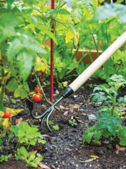 Gardener's Lifetime Long-Handled Double Tool -Garden Decor Store 3 4 crop 8592107 2460 tif