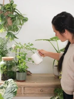 Pinpoint Indoor Watering Can 15 Pinpoint Indoor Watering Can -Garden Decor Store 3 4 crop 8612963 3774