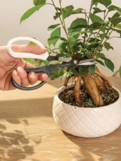 Japanese Pruning Scisssors -Garden Decor Store 3 4 crop 8612968 0087