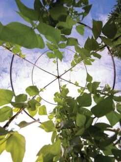 Jardin Tower -Garden Decor Store 3 4 crop 8612997 0033