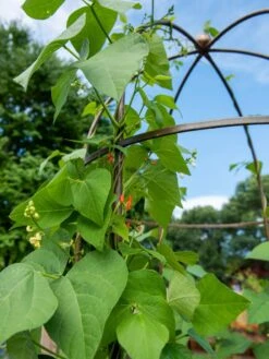 Jardin Tower -Garden Decor Store 3 4 crop 8612997 0058