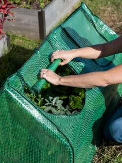 Multi Cloche -Garden Decor Store 3 4 crop 8613213 0265