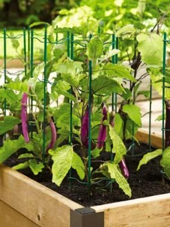 Pepper And Eggplant Stakes, Set Of 3 -Garden Decor Store 40308 2116 tif