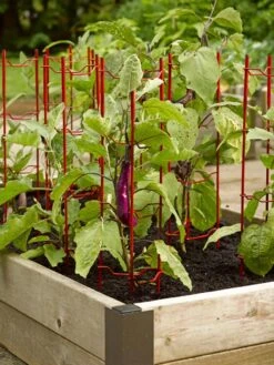 Pepper And Eggplant Stakes, Set Of 3