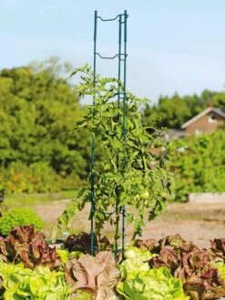 Stacking Tomato Ladders, Set Of 6 -Garden Decor Store 40309 100 tif