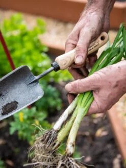 Gardener's Lifetime Trowel -Garden Decor Store 8586972 3286 tif