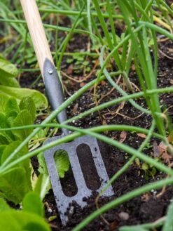 Gardener's Lifetime Spork 10 Gardener's Lifetime Spork -Garden Decor Store 8586973 2383 tif