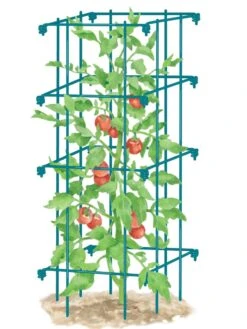 Tomato Cage, Single -Garden Decor Store 8587039 TomatoCage BLUE tif
