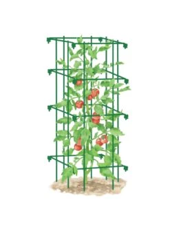Tomato Cage, Single -Garden Decor Store 8587039 TomatoCage GRN tif