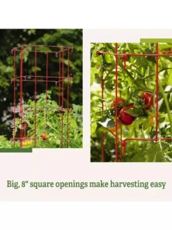 Tomato Cages, Set Of 4 -Garden Decor Store 8587040 2