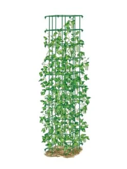 Bean Tower -Garden Decor Store 8587060 0008 GRN tif