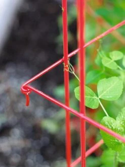 Tall Expandable Pea Trellis -Garden Decor Store 8587061 010 tif