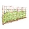 Expandable Pea Trellis -Garden Decor Store 8587061 PeaFence Red 001E tif