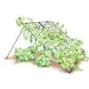 Large Cucumber Trellis -Garden Decor Store 8587082 CukeTrellis L Blk 001E tif