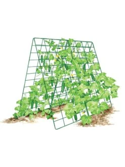 Deluxe Cucumber Trellis -Garden Decor Store 8587083 001 GRN tif