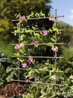 Jardin Ladder Trellis -Garden Decor Store 8587107 083 tif