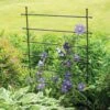Jardin Ladder Trellis 2 Jardin Ladder Trellis -Garden Decor Store 8587107 1651 tif