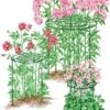 Grow Through Supports, Set Of 3 -Garden Decor Store 8587111RS 001E 1