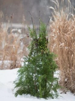 Jardin Pot Trellis 11 Jardin Pot Trellis -Garden Decor Store 8587120 009 tif