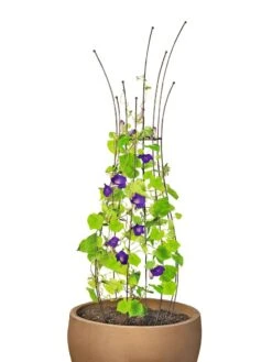 Jardin Pot Trellis 13 Jardin Pot Trellis -Garden Decor Store 8587120 1006 tif