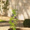Jardin Pot Trellis -Garden Decor Store 8587120 224 tif