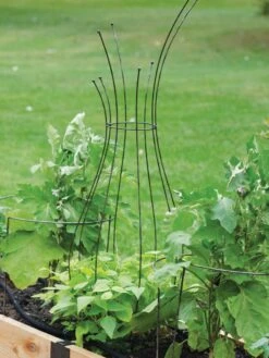 Jardin Pot Trellis 10 Jardin Pot Trellis -Garden Decor Store 8587120 7037 tif