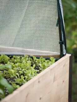 Protection Frame & Covers, 2' X 8' -Garden Decor Store 8587631 265 tif 1