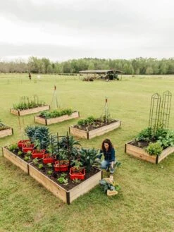 Deep Root Raised Beds, 14" Deep 4' Wide -Garden Decor Store 8587813 505 tif