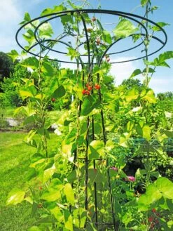 Essex Tuteur, 78" -Garden Decor Store 8587861 100 tif