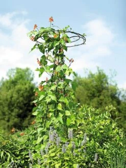 Essex Tuteur, 78" -Garden Decor Store 8587861 4160 tif