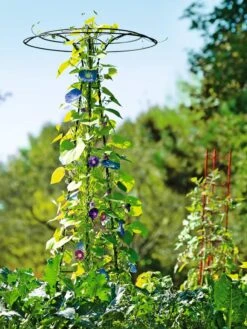 Essex Tuteur, 78" -Garden Decor Store 8587861 5028 tif