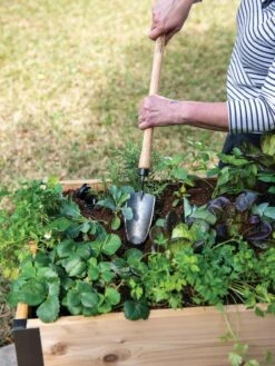 Gardener's Lifetime Raised Bed Trowel -Garden Decor Store 8588014 4084 tif