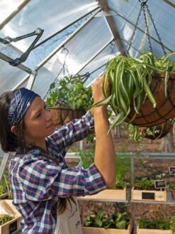 Canopia® By Palram Balance Greenhouse, 8' X 12' -Garden Decor Store 8588023 07V jpg