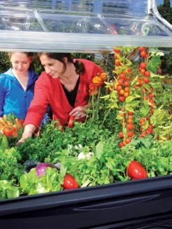 Canopia® By Palram Plant Inn™ Raised Bed Greenhouse, 4' X 4' 29 Canopia® By Palram Plant Inn™ Raised Bed Greenhouse, 4' X 4' -Garden Decor Store 8588308 03V tif