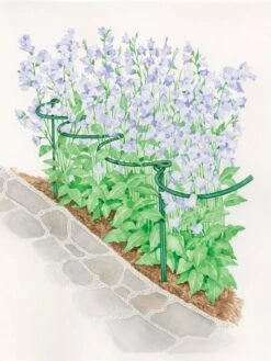 Tidy Path Supports 6 Tidy Path Supports -Garden Decor Store 8588403 003 1