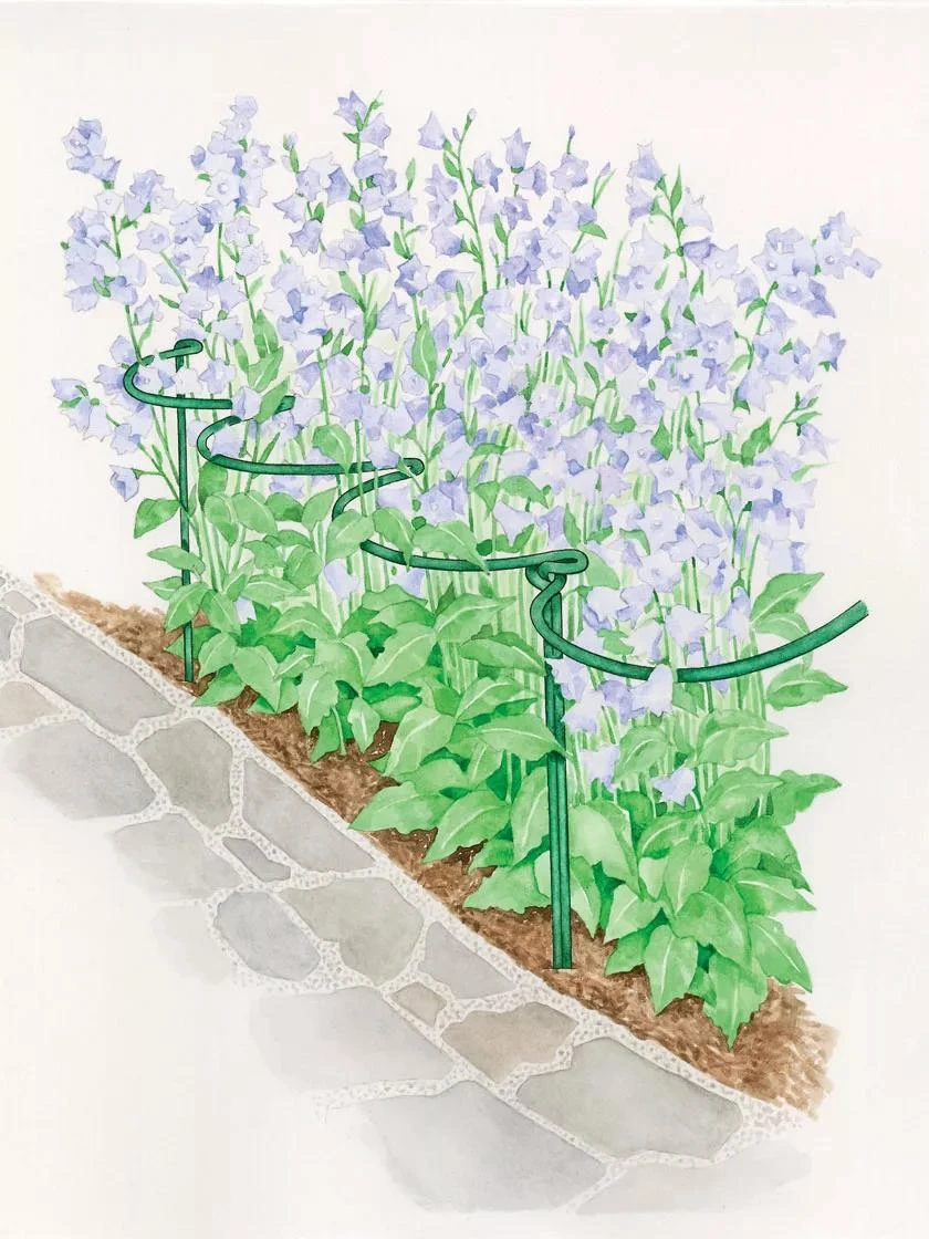 Tidy Path Supports 4 Tidy Path Supports - Image 3