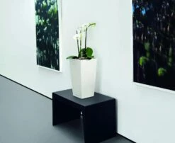 Lechuza® Cubico Color Tall Self-Watering Planters -Garden Decor Store 8589485 03V tif